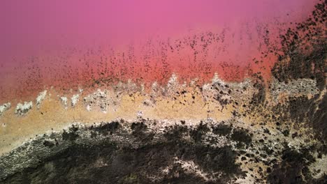 incredible unique sights of hutt lagoon pink lake in western australia from above