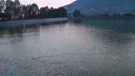 embung kledung is a tourist destination in temanggung, indonesia