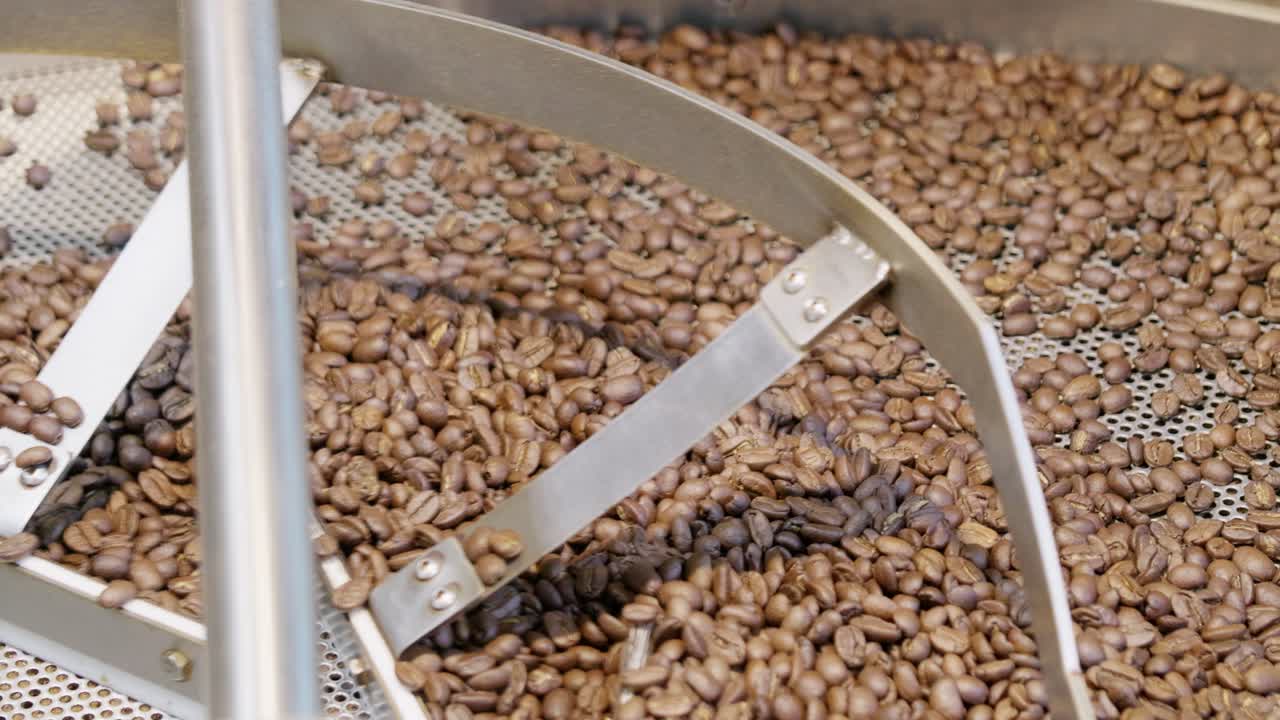 Discover the intricate process of coffee bean harvesting in a warm farm setting.