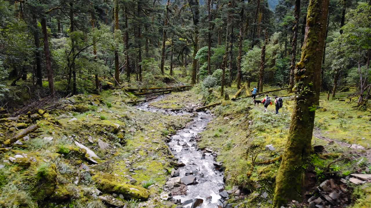 Drone over River passing Group Walking in National Park Forest