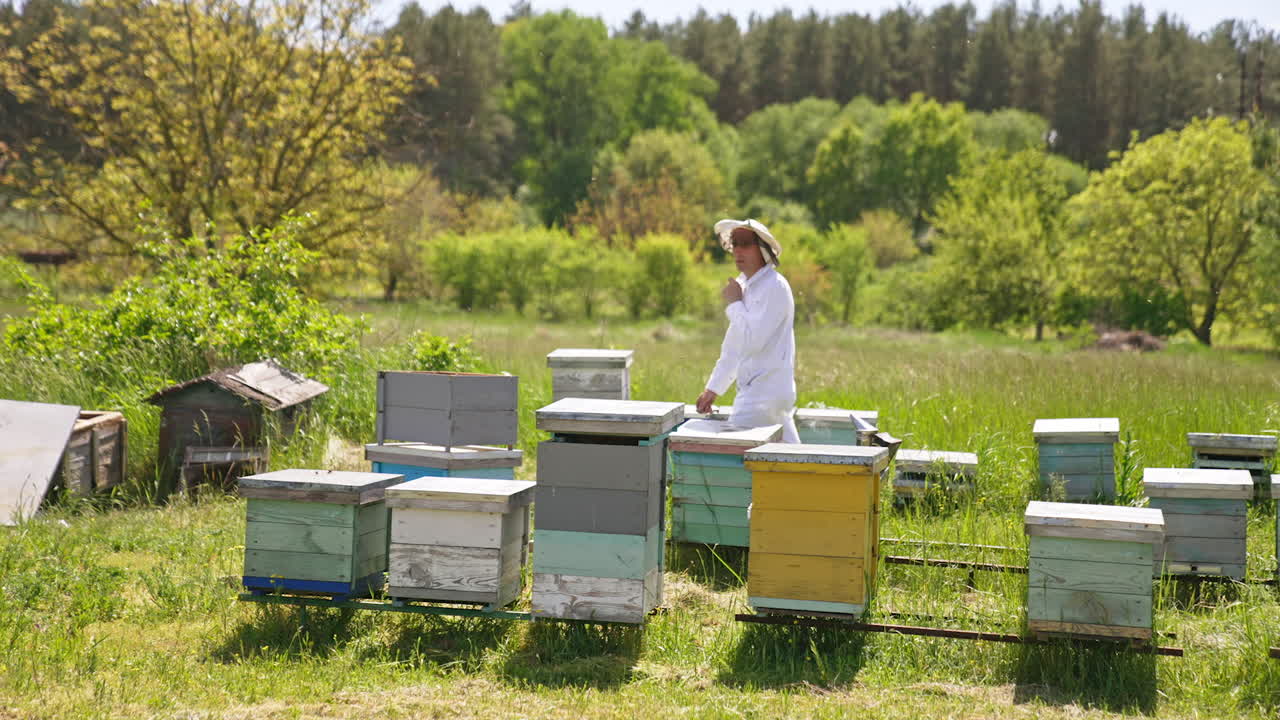 Apiarist in protective outfit walks among his beehives. Focused man counting and thinking over something at apiary. Nature backdrop.