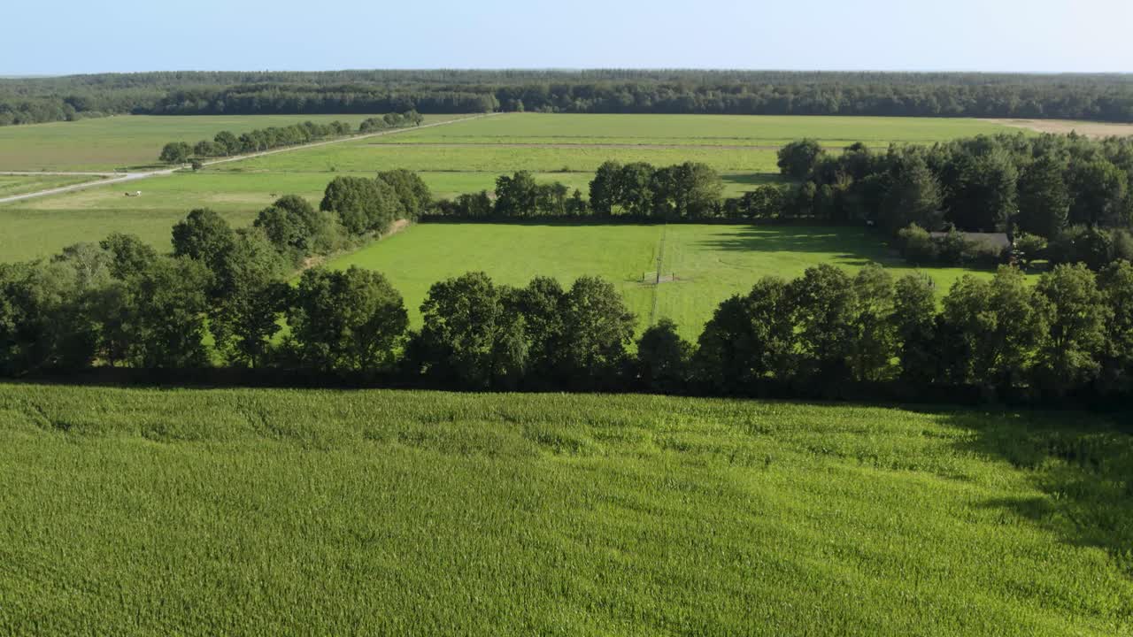 campos verdes en el campo, rodeados de tierras de cultivo y árboles