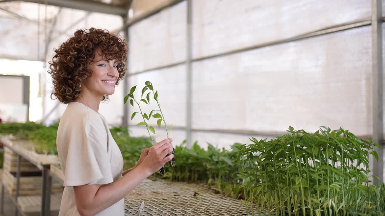 Female agricultural technician inspecting seedlings in greenhouse
