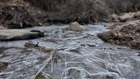 Arroyo-A-Principios-De-Primavera-Bajo-El-Hielo-En-Un-Bosque-Gris-4k