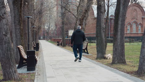 man in black jacket walks cute fluffy puppy on leash along tree-lined park pavement with wooden benches on both sides and brick building in background creating serene winter atmosphere