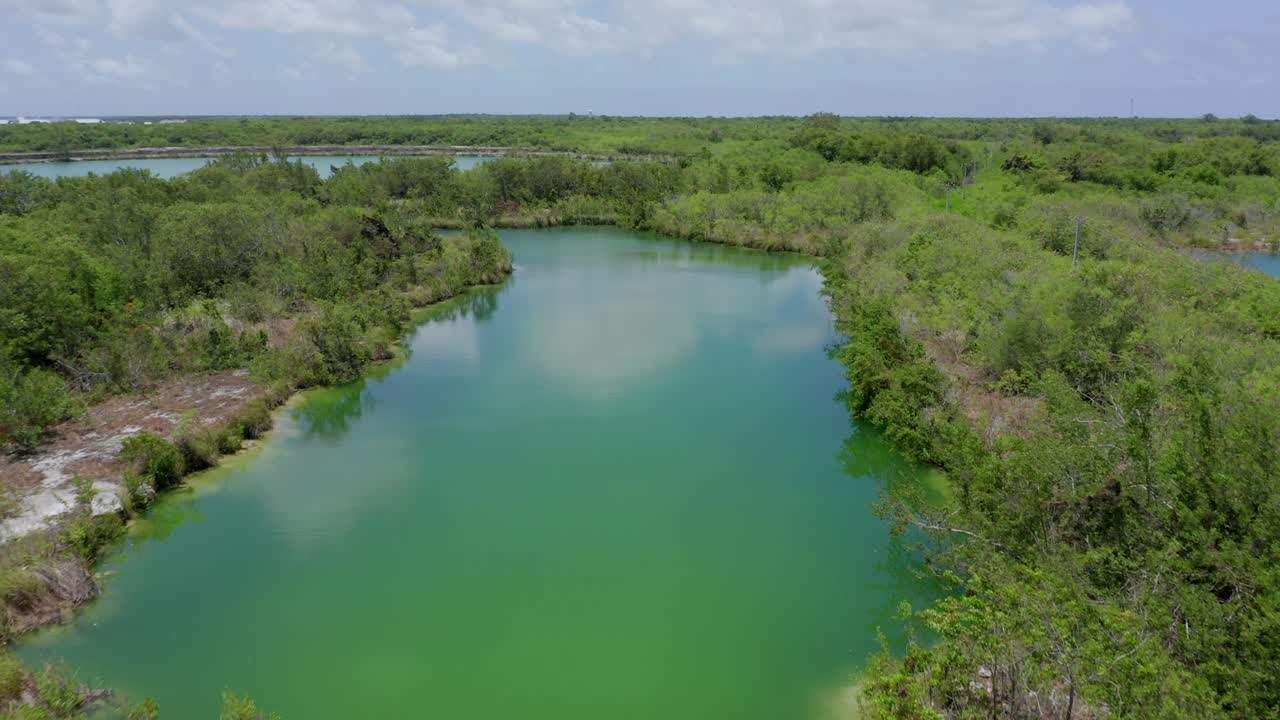 vuelo pacífico sobre cap cana aguas tranquilas de la laguna verde por bosque de árboles y vegetación en el día azul del cielo soleado, república dominicana, enfoque aéreo superior