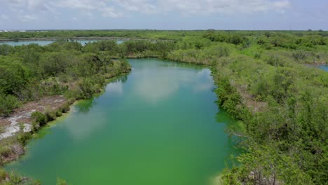 vuelo pacífico sobre cap cana aguas tranquilas de la laguna verde por bosque de árboles y vegetación en el día azul del cielo soleado, república dominicana, enfoque aéreo superior