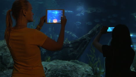 Visitors-in-oceanarium-taking-pictures-of-sea-animals