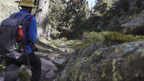 Par-De-Trekker-Escalador-Caminando-Por-Un-Camino-De-Piedra-En-El-Parque-Nacional-De-Aigüestortes-Pirineo-Catalán