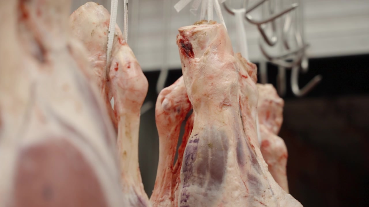 Multiple lamb legs hang from hooks in a chilled room, tight detail on raw muscle and bone in a modern meat facility.