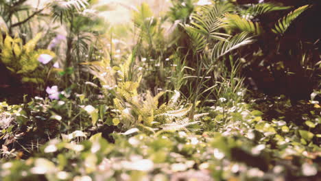 green jungle with sunlight streaming through