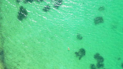 Schöne-Junge-Frau-Beim-Schwimmen-Im-Tropischen-Azurblauen-Meerwasser