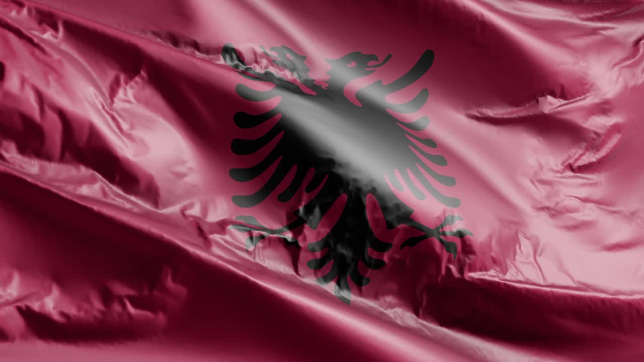 알바니아의 발이 바람에 흔들리며, 알바니아 발은 바람에 휘어지며, 배경은 완전히 채워지고, 10 초의 루프가 있습니다.