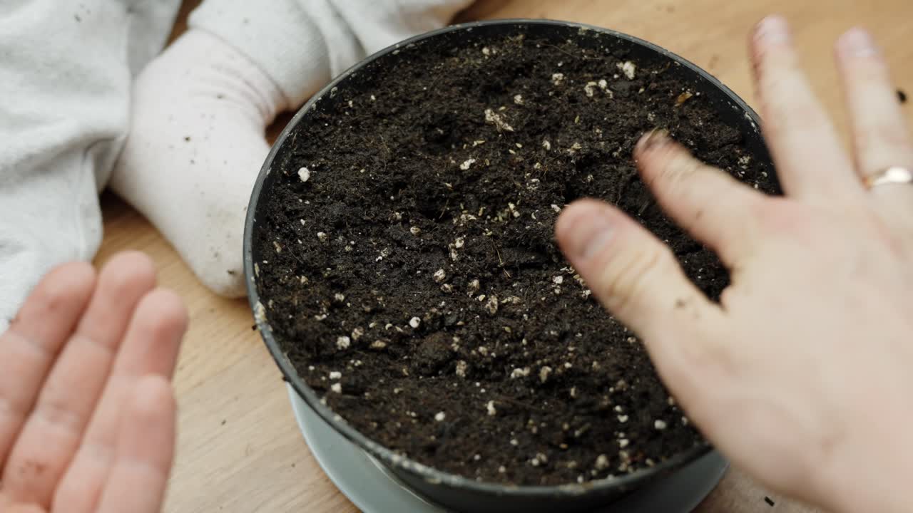 Adult planting seeds in a pot at home together with a toddler lying next to it. Close-up of hands touching soil. Home gardening.