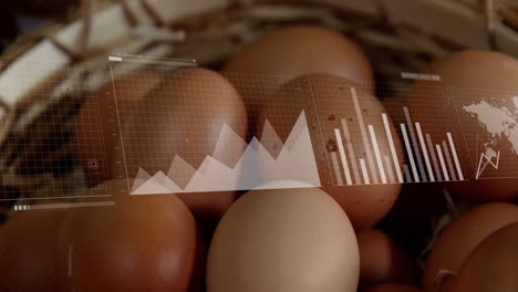 animating graphs and charts over basket of brown eggs, focusing on data analysis