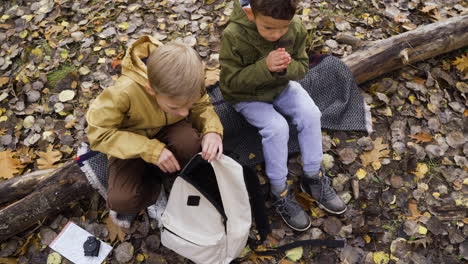 kids sitting on a dead tree