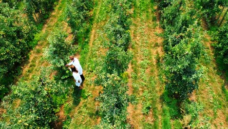 Pärchen,-Das-Auf-Dem-Grünen-Bauernhof-4k-Landwirtschaft-Betreibt