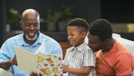 Familia-Masculina-Multigeneracional-Sonriente-Leyendo-Un-Libro-Juntos-En-El-Jardín