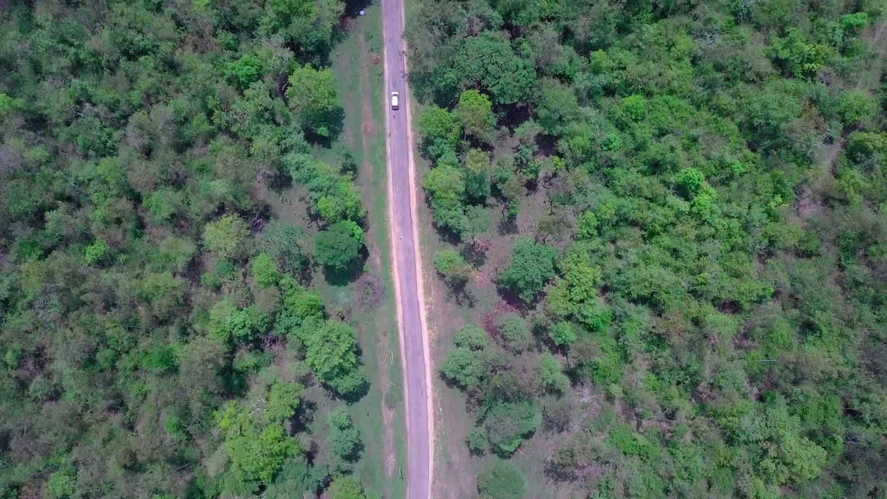 Aerial View of a Road Cutting Through a Lush Green Forest