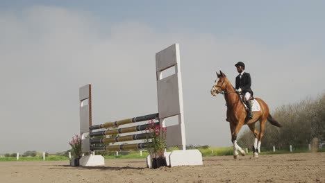 Hombre-Afroamericano-Saltando-Un-Obstáculo-Con-Su-Caballo-De-Doma