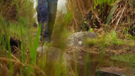 Footage of a peaceful hike through a lush forest in Itatiaia, Minas Gerais, Brazil