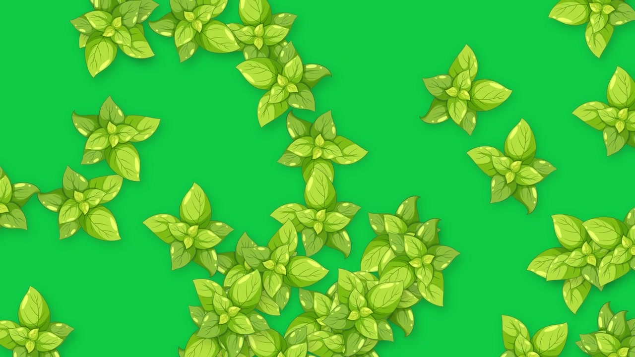 Foglie di basilico verde fresco cadono e fluttuano su uno schermo verde solido al rallentatore