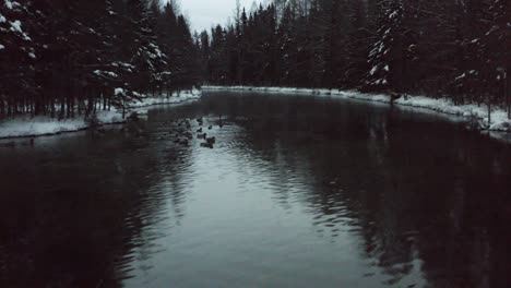 Luftaufnahmen-Von-Enten,-Die-Im-Kalten-Wasser-In-Michigan-Schwimmen