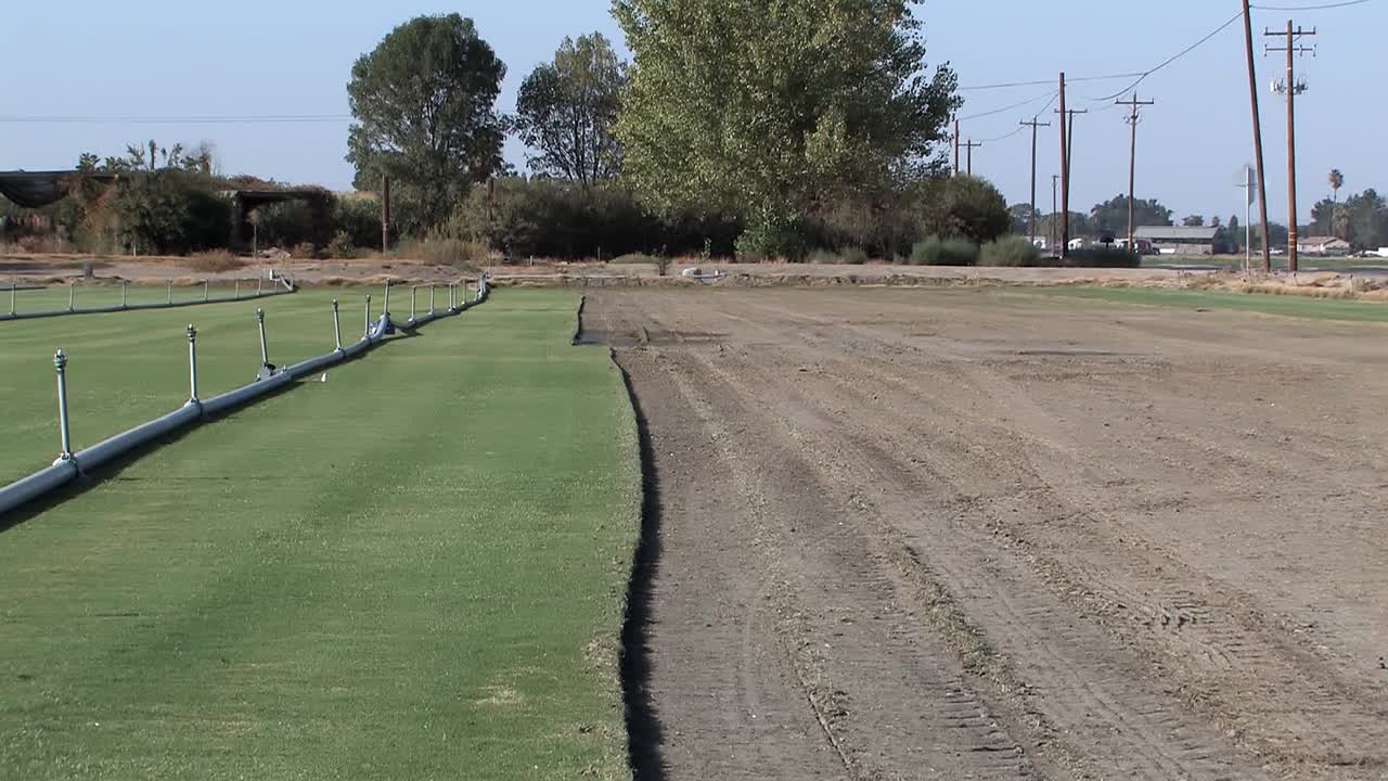 Prato sintetico in California, USA