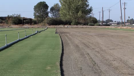 artificial turf in california, usa