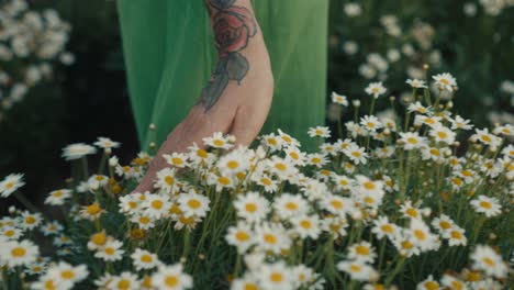 woman in a green dress touching daisies in a garden
