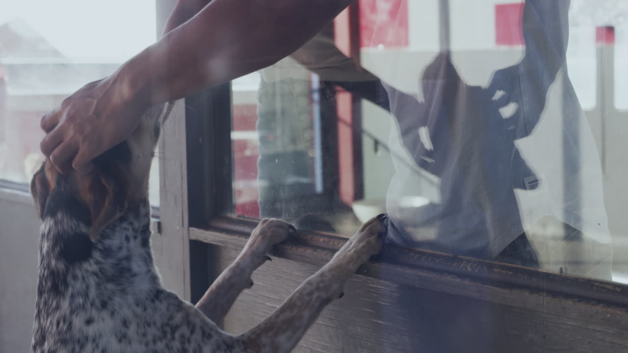 We've always preferred to adopt and not shop