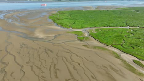 aerial shot of wetlands leading into a river where a cargo ship is navigating its way under a blue sky