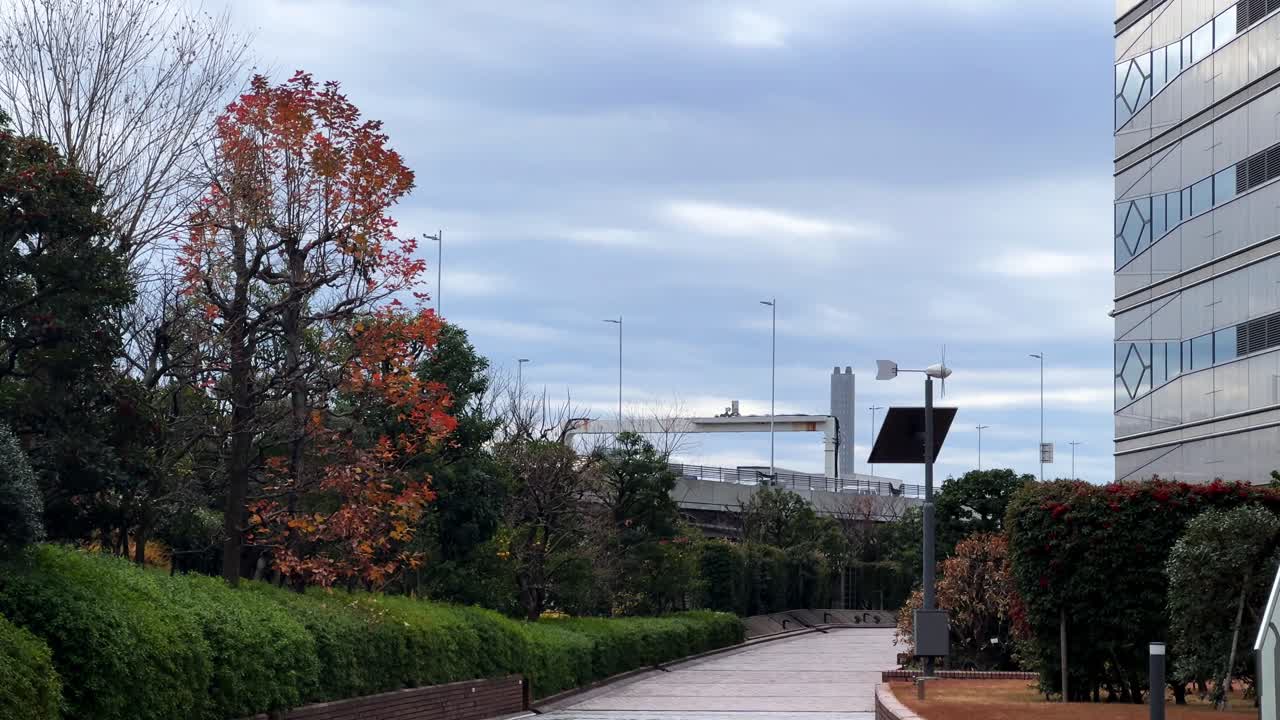 A peaceful Tokyo cityscape featuring autumn trees and modern architecture outdoors