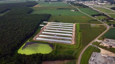 an aerial view of eight parallel farm buildings with metal roofs