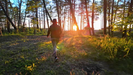 woman walking through forest at sunset
