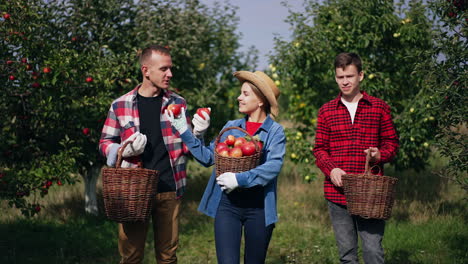 three people standing in the apple orchard. woman, man and boy with baskets in their hands showing the best apples they've picked.