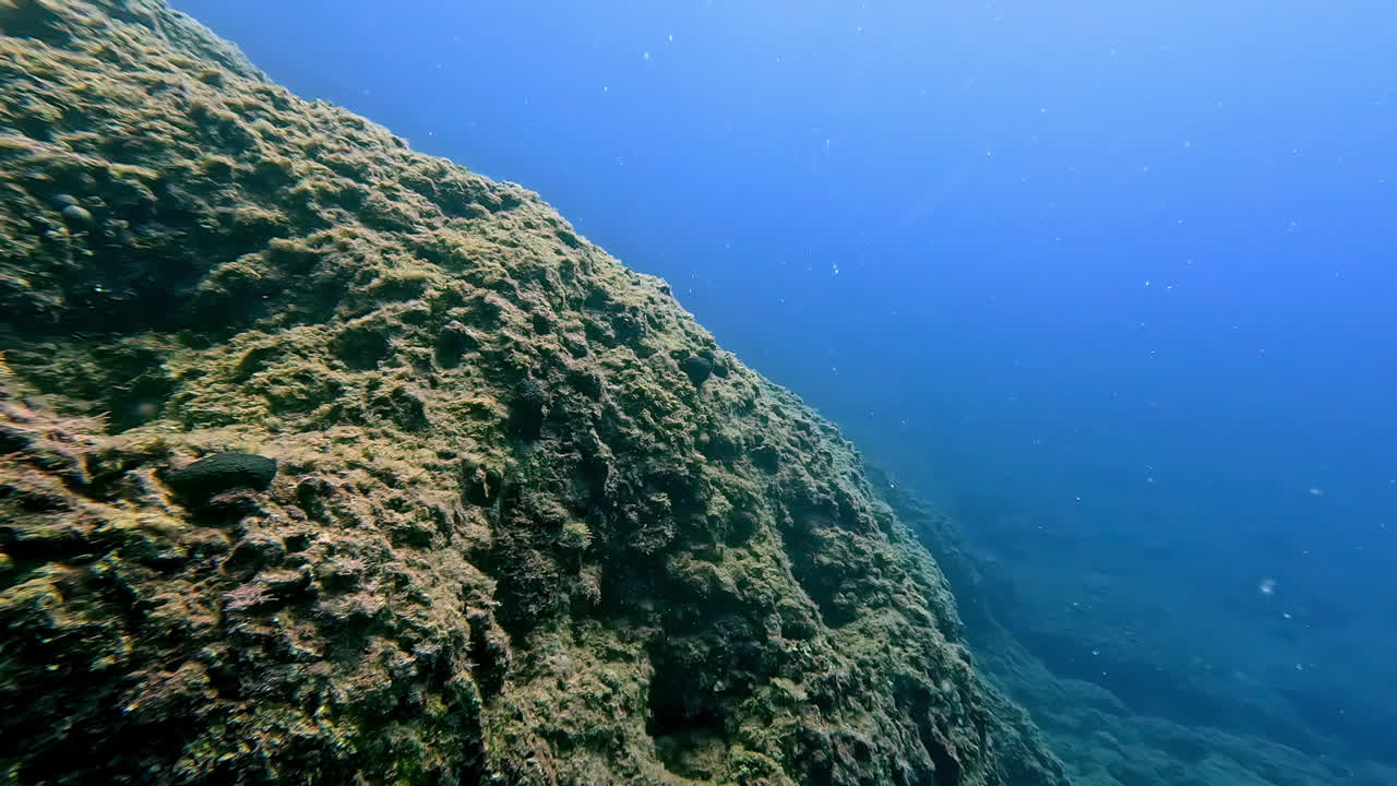 clara vista submarina de un fondo oceánico rocoso con la luz del sol brillante filtrando a través del agua