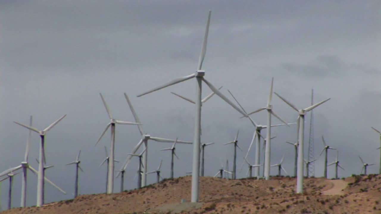 Wind turbines generate electricity