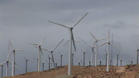 wind turbines generate electricity