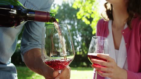 Pareja-Feliz-Tomando-Vino-Tinto-En-El-Parque