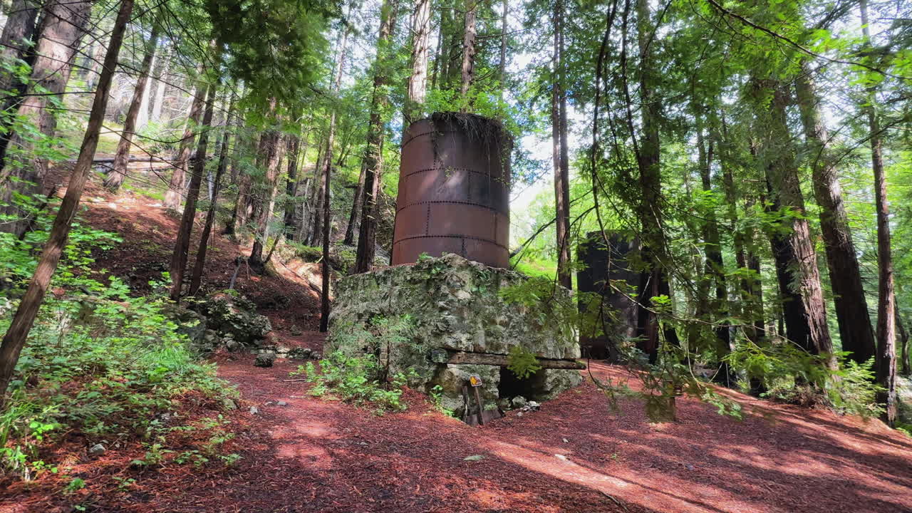 Limekiln State Park Relics: Old Industrial Kilns in the Forest