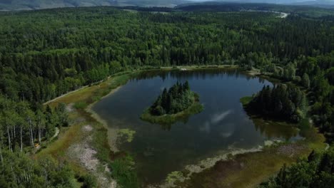 Aufschlussreiche-Drohnenaufnahme-Eines-Kleinen-Reflektierenden-Sees,-Umgeben-Von-Endlosen-Wäldern