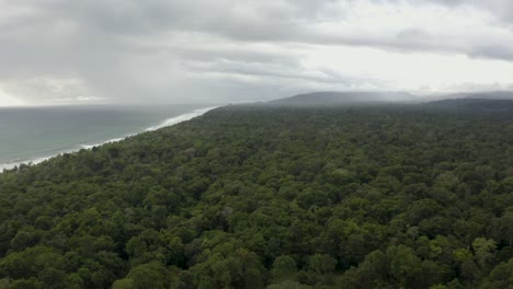 aerial flies over a huge endless jungle, tilting towards the ocean