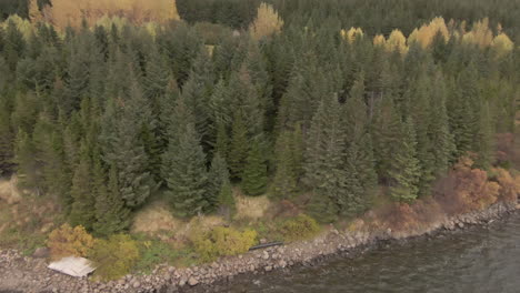 slow dolly viewpoint from lake shore towards vast forest and abandoned cabin