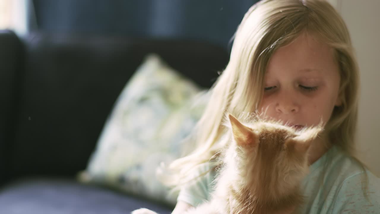 새끼 고양이를 들고 있는 작은 소녀