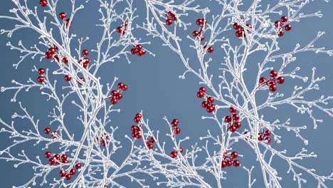 Top-down video shot of white branches with red berries against a blue background