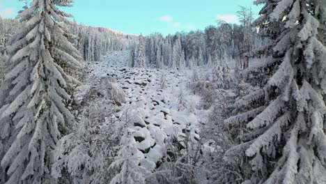 Drone-fly-through-winter-forest-in-mountain-covered-with-fresh-snow