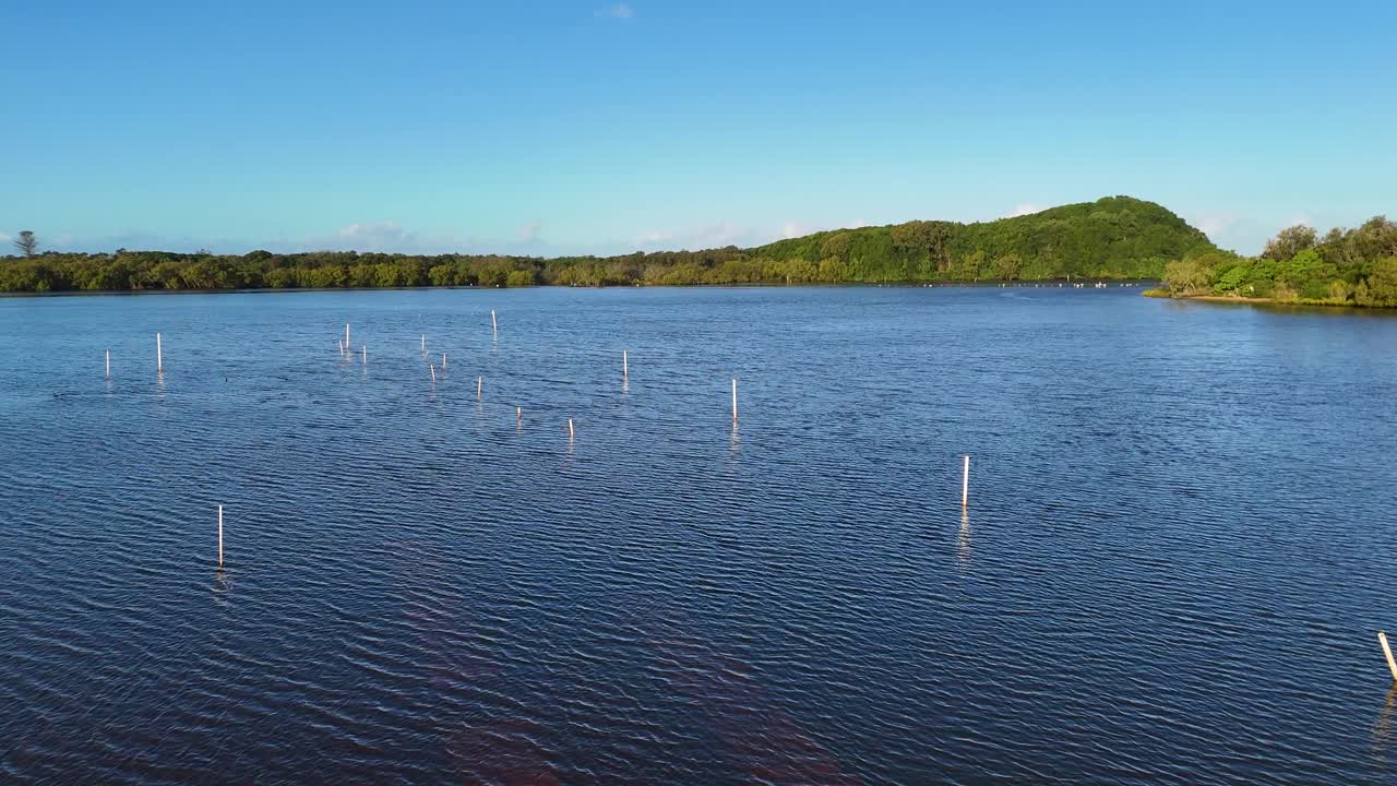 Drone footage captures serene oyster beds on a calm river under clear skies in Brunswick Heads, NSW