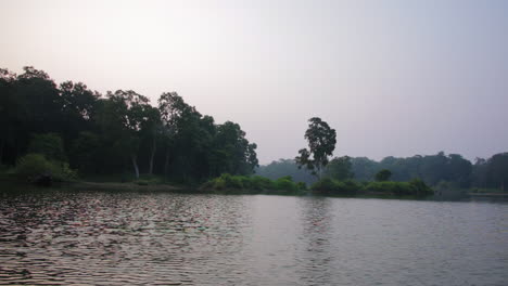 boat view over towards overgrown nagarhole national park coastal woodland on the kabini river