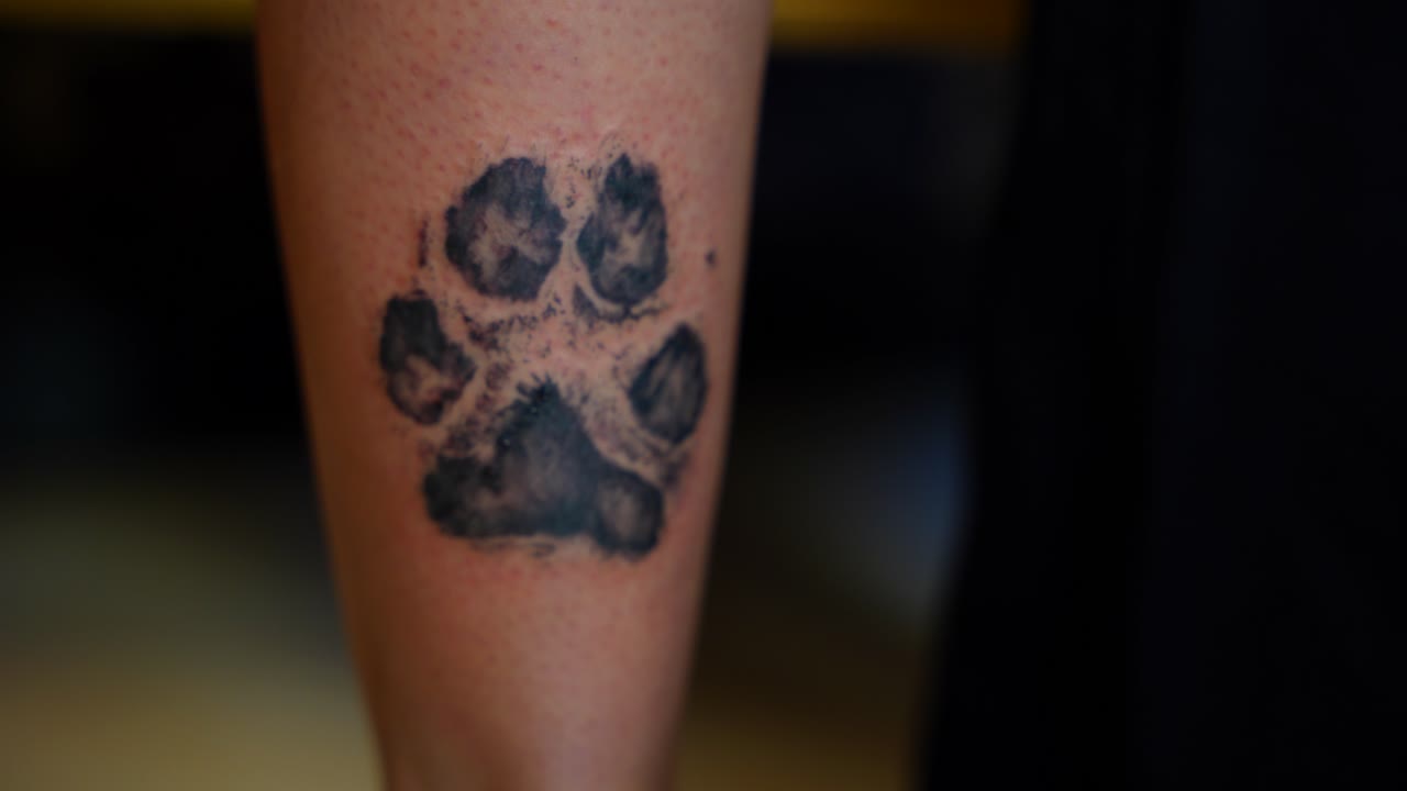 Closeup shot of a dog paw footprint tattoo on the calf of a person